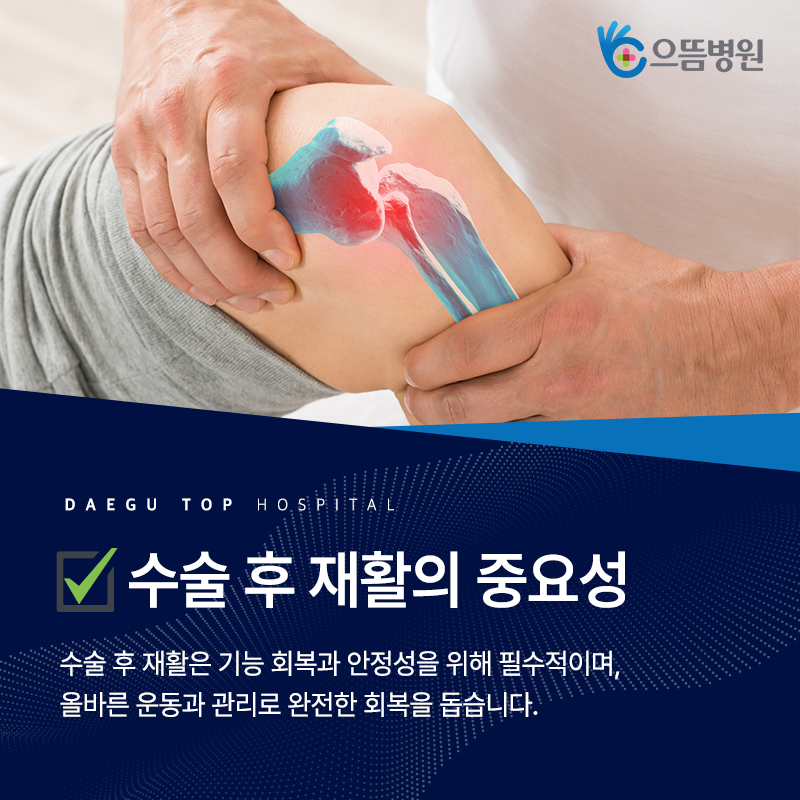 재활 운동 이미지 4